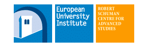 MPC Webinar: ‘The effects of COVID-19 on Mobility and Citizenship’ logo