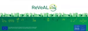 ReVeALing Space for People: Developing Good Practice in Urban Vehicle Access Regulations logo